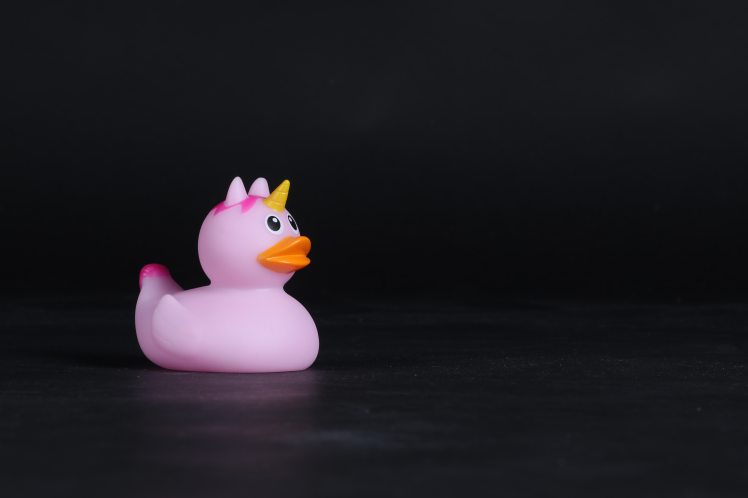 unicorn-duck-toy